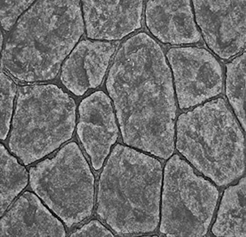 Vacuum holder lifts CobbleStone